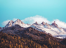 开云服务-很沮丧！东契奇左腿筋不适回更衣室时 怒踢场边广告牌